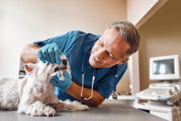 Best Pediatric Emergency Dentist in Minden, LA